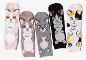 Cat Hug Socks - Sock #187204