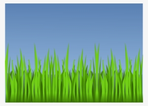 Lawn Clipart Forest - Forest Grass Clipart #187542