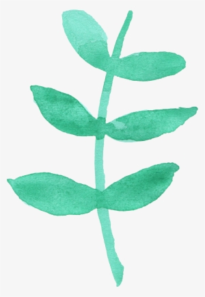 12 Watercolor Leaf Vol #187567 12 Watercolor Leaf Vol #187567