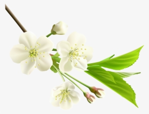 White Flower Clipart Png #187966