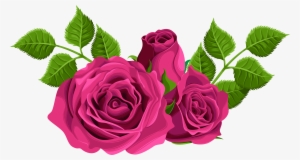 Pink Roses Clip Art #187967