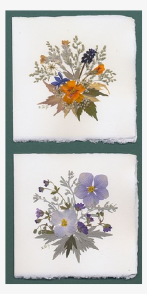 Greeting Cards In Fine Amalfi Paper And Dried Flowers - Craft #188266