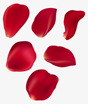 Clip Black And White Rose Petal Set Red Transparent #188645