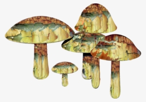 Mushrooms By Mysticmorning On - Mushrooms Drug Png #188845