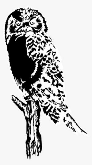 Owl Perched On Dead Tree Svg Clip Arts 330 X 589 Px #188848