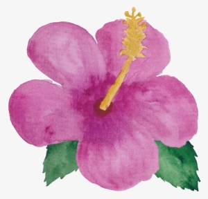 Pink Flower Little Princess Transparent - Petal #189046