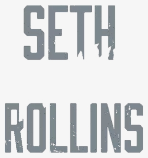 Official WWE Mens Seth Rollins Distress Logo T-shirt Black S - XXL | eBay