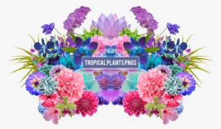 Tropical Plant Png's - Pack Png Plantas #189145