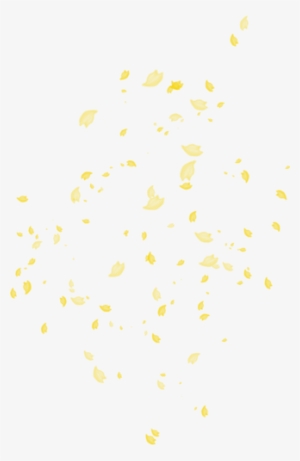 Views Album - Autumn Leaves #189272