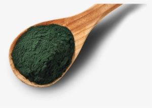 Pagelines Spirulina My Spoon - Spirulina Png #189787
