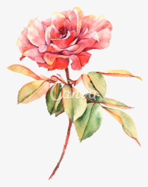 Rose Painting Photography Transprent #189909