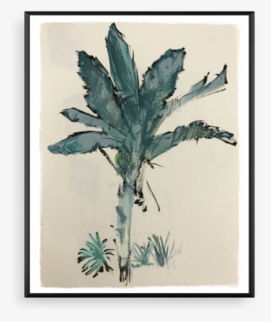 Banana Tree Thin Black #189950