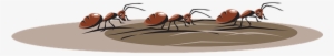 Dirt Clipart Ant Pile - Hormigas Caminando Png #1800085 Dirt Clipart Ant Pile - Hormigas Caminando Png #1800085