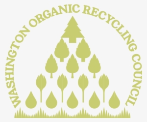 Worc 02 - Ymca Camp Chingachgook #1800171