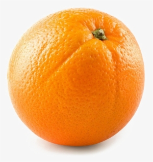 Single Orange Png Image Background - Orange Single Png #1800992