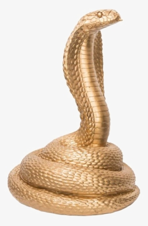 King Cobra Png Photo - King Cobra #1801146