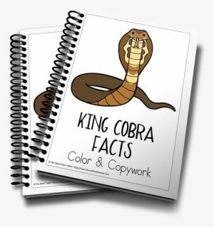 King Cobra Color And Copywork - Income Tax School Certificate #1801329