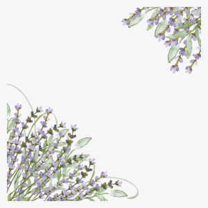 Png Black And White Lilacs Drawing Hand Drawn - Clipart Lavender Purple Flowers #1803495