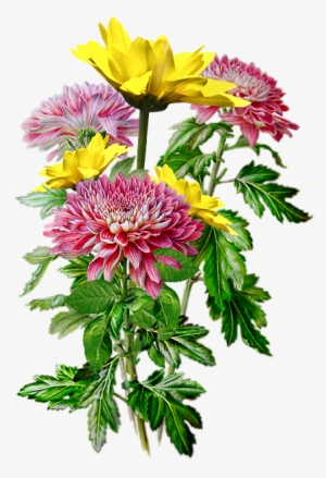 Pin By Elżbieta Berezowska On Png Mix - Рисунки Акварелью #1803542