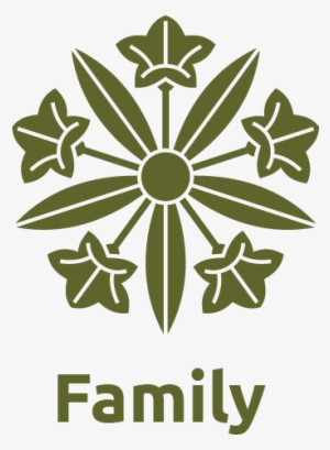 Parent And Teen Profiles, Workshops, Counselling And - 五 つ 竜胆 車 #1804139