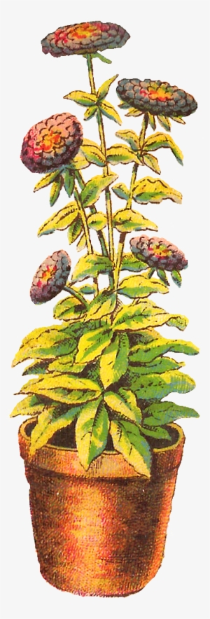 Flower Chrysanthemum Download Clip Art - Flower Pot Drawing #1804251