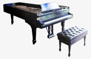 9' Concert Grand Piano - Steinway Model D Png #1804683