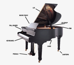 Guide To Buying A Baby Grand Piano - Baby #1805068