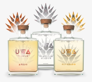 Alcoholic Beverage #1805452