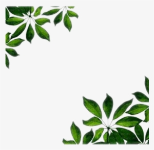 Green Leaf Background png download - 1067*942 - Free Transparent