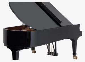 Acoustic Pianos, Pro Stage Pianos, Synthesizer Workstations - Back Of A Piano #1806281