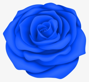 Blue Rose Png #1806702