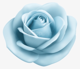 Pastel Blue Lightblue Babyblue Bluerose Rose Roses - Light Purple Flower Png #1806927