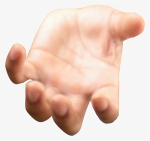 Open Hand Large - Open Hand #1807004 Open Hand Large - Open Hand #1807004