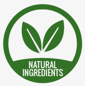 Coming Soon - Provence Beauty Hyaluronic Acid Serum #1807281