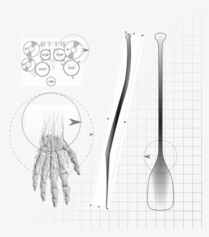 Open Hand #1807432 Open Hand #1807432