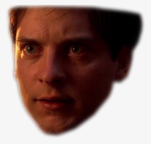 File History - Human #1807863