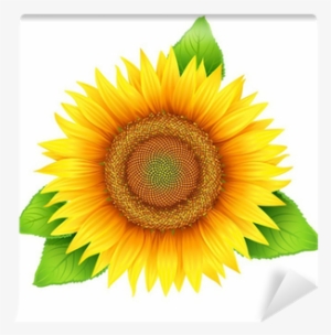Flower Of Sunflower With Leaves, Isolated On White, - Sunflower Oil Label Design #1808389