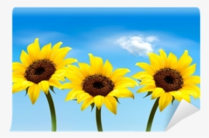 Nature Background With Three Yellow Sunflowers - Vector Graphics #1808416