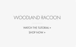 Woodland Raccoon Woodland Raccoon - Pottery Barn Kids Inc #1808447
