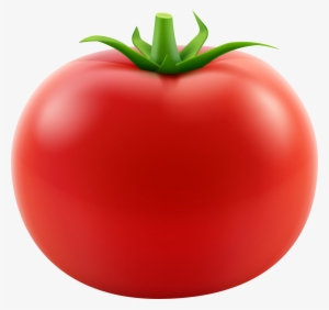 Tomato Plant Png #1808706