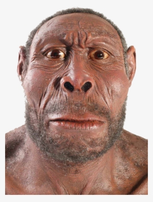 5717245 - >> - Will Humans Look Like In 1000 Years #1808980