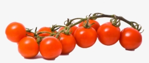 Tomato Png Stock Images - Tomato #1809054