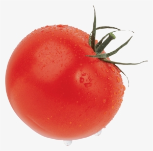 Free Png Red Tomatoes Png Images Transparent - Помидор Пнг #1809077 Free Png Red Tomatoes Png Images Transparent - Помидор Пнг #1809077
