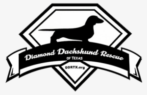 Diamond Dachshund Rescue Of Texas Logo - Heartworm Prevention 1st Of The Month #1810228