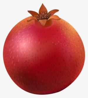 Pomegranate Png #1810682