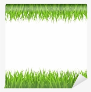 Ecology Border #1811210