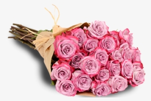 Lavender Roses - Lavender #1811268