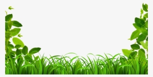 Vine Border #1811436 Vine Border #1811436