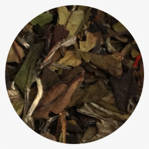 White Pomegranate Tea #1811488