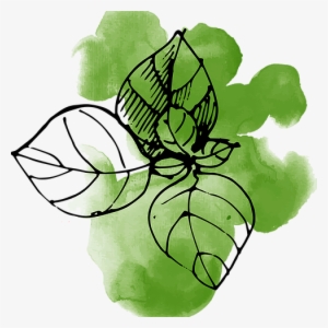 Watercolor Leaves - Watercolor Painting #1811572